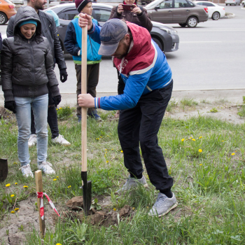 Высадка деревьев 21 мая в рамках проекта «Целлюлоза»